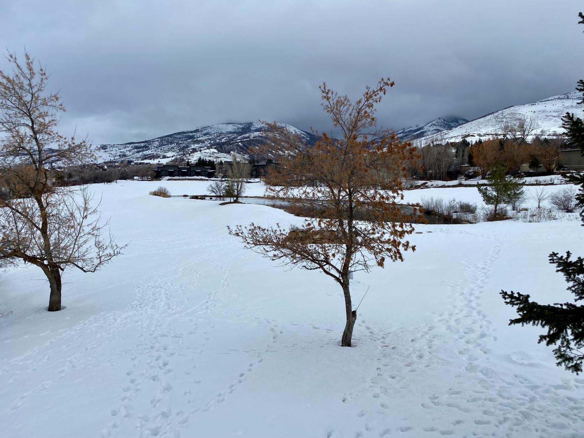 Wolf Creek Lodge Condo In Eden, Ut - Relaxing Mountain Retreat 외부 사진