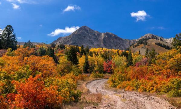 Wolf Creek Lodge Condo In Eden, Ut - Relaxing Mountain Retreat 외부 사진