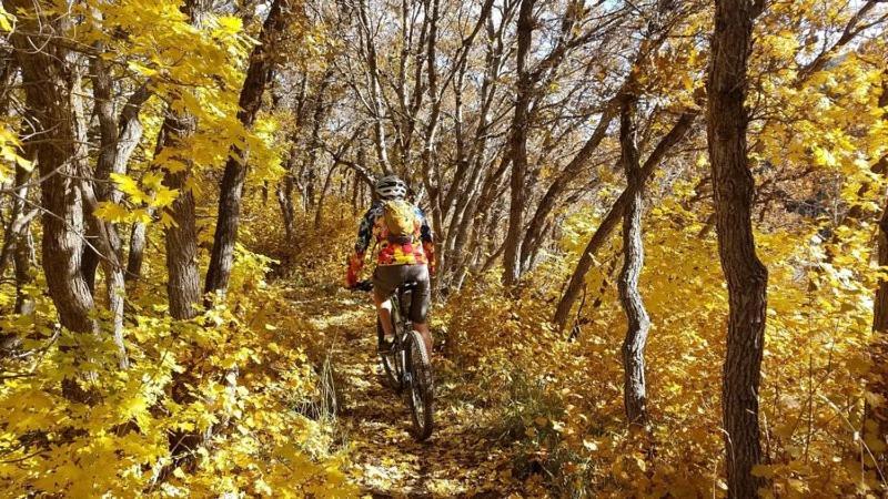 Wolf Creek Lodge Condo In Eden, Ut - Relaxing Mountain Retreat 외부 사진