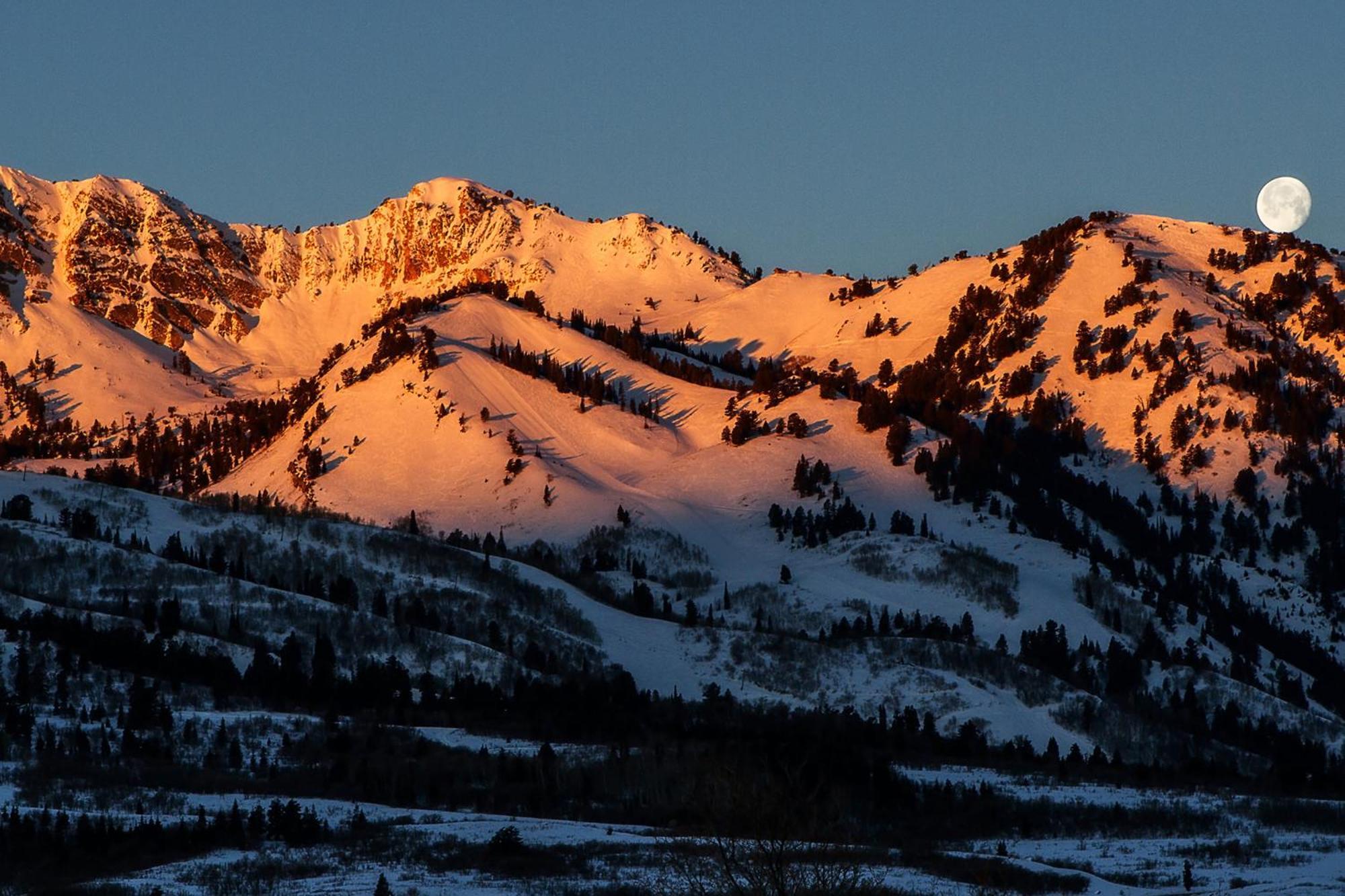Wolf Creek Lodge Condo In Eden, Ut - Relaxing Mountain Retreat 외부 사진